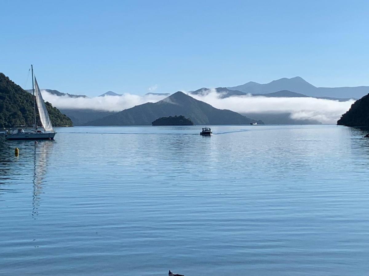 Koru Havenz * Picton